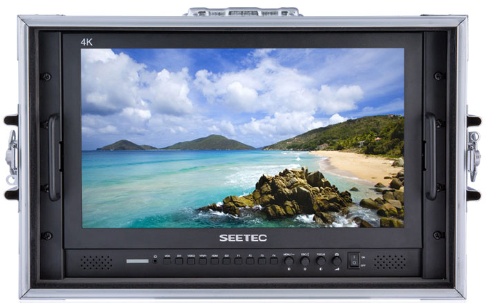 Seetec P173-9HSD-CO