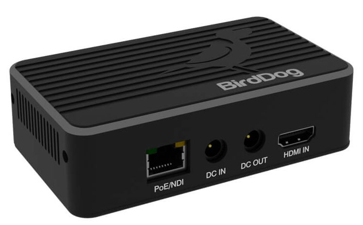 Flex-4K-OUT-birddog Flex 4K OUT encoder