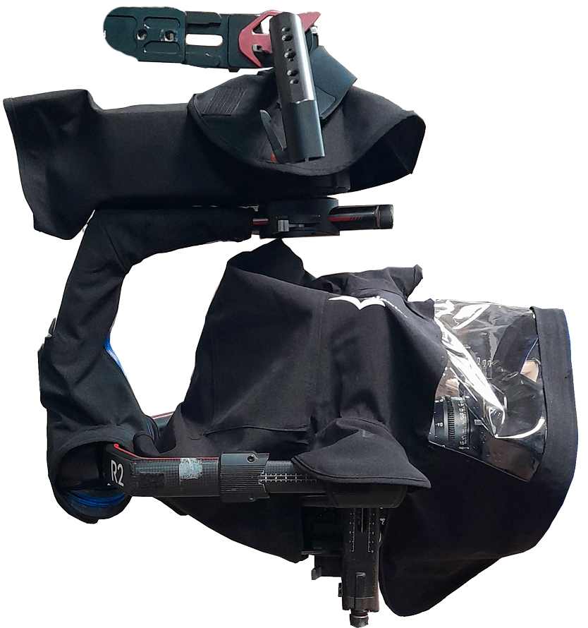 Rainwings for Ronin 2